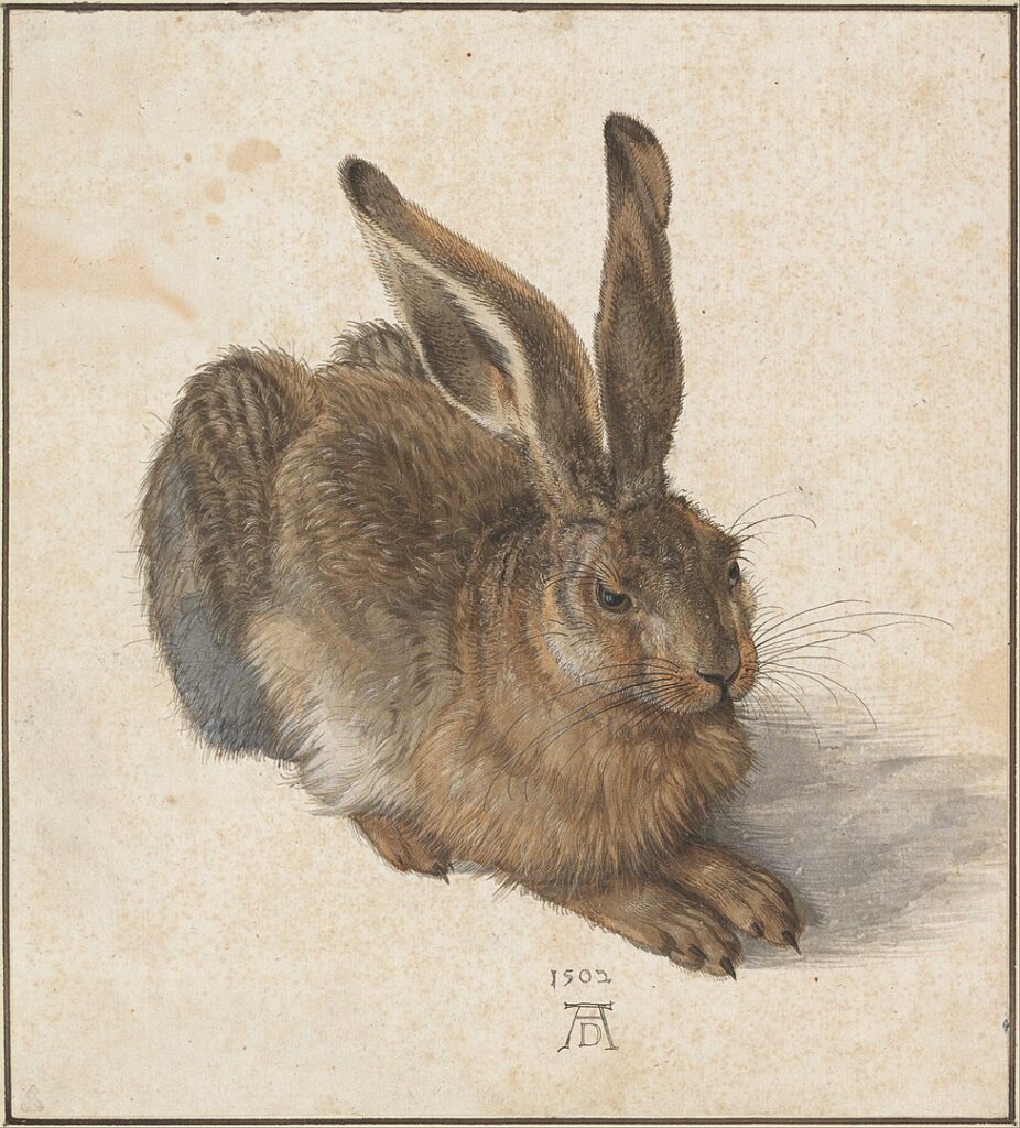 Albrecht Dürer’s Young Hare, a painting of a hare sitting peacefully, its fur mottled browns-and-greys and its ears long.