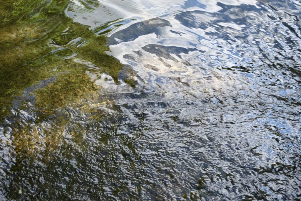 The surface of the water, with little ripples and waves catching light and suggesting movement.