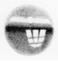 Grainy black-and-white image of a rabbit retina with an upside-down multi-paned window burned into it.