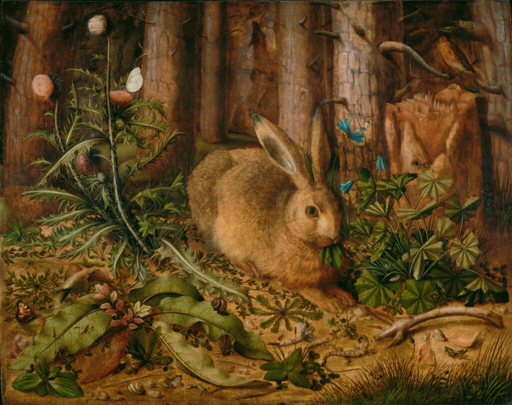 A hare sits placidly in a dark forest setting, with strange vegetation all around.