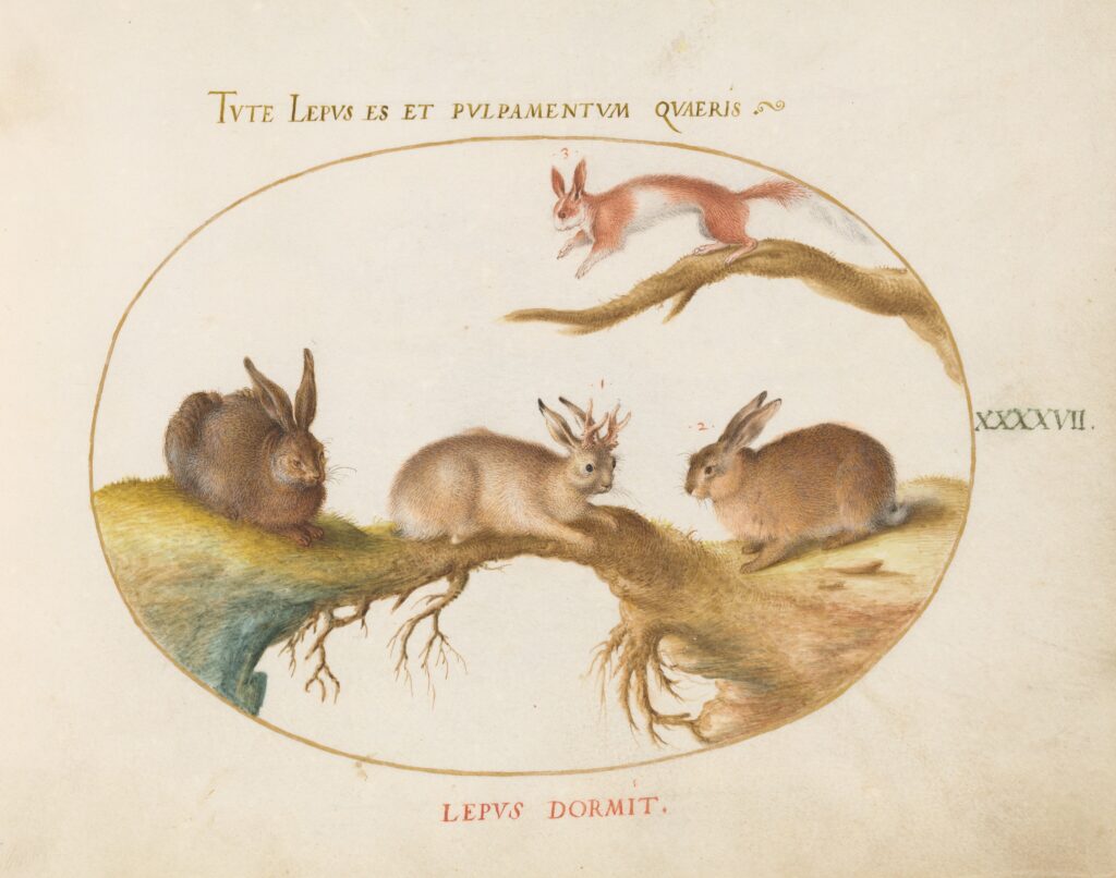 A hare, jackalope, rabbit, and spotted squirrel cavort on a series of branches and roots, contained within a painted oval.