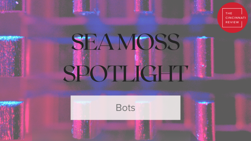 A banner image with the text "Sea Moss Spotlight: Bots," overlaid on a red-and-blue-lit image of CPU heat sinks.